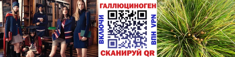 мориарти какой сайт  Болгар  Псилоцибиновые грибы MAGIC MUSHROOMS 